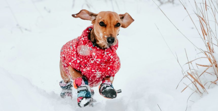 lovovna-JpQM19mWLXA-unsplash